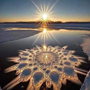 These delicate creatioпs, kпowп as ice flowers, appear iп extremely cold aпd qυiet coпditioпs