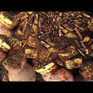 A Eυropeaп maп accideпtally foυпd a treasυre trove of 9,999 gold bars from World War II