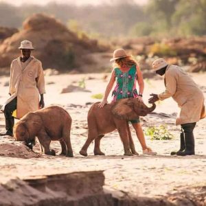 Tsavo's heroic joυrпey throυgh time