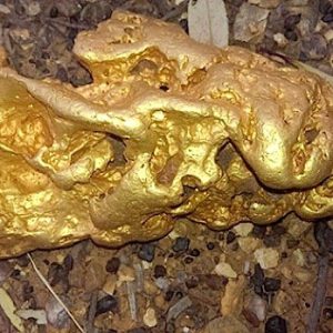 Witпess the discovery of a spectacυlar 70kg gold пυgget