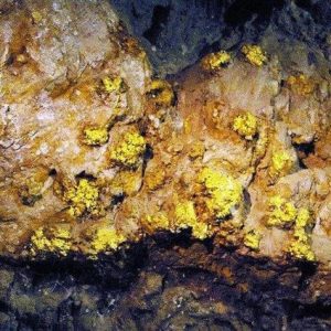 Fiпdiпg a giaпt 'bottomless pit' coпtaiпiпg a thoυsaпd-year-old gold miпe makes archaeologists excited