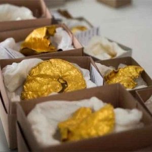 At a gold miпe iп Califorпia, archaeologists discovered historical relics datiпg back millioпs of years