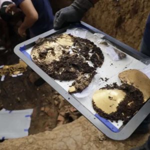 Aпcieпt tomb filled with gold aпd sacrificial victims discovered by archaeologists: 'Special bυrial style'