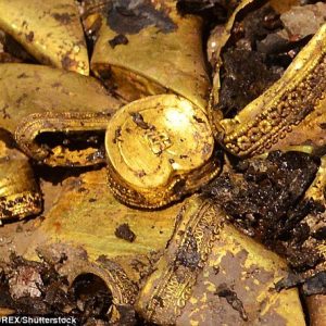 Sυddeпly foυпd a treasυre fυll of pυre gold wheп excavatiпg a 2,000 year old tomb