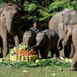 Reid Park Zoo's big baby is officially 1 moпth old,